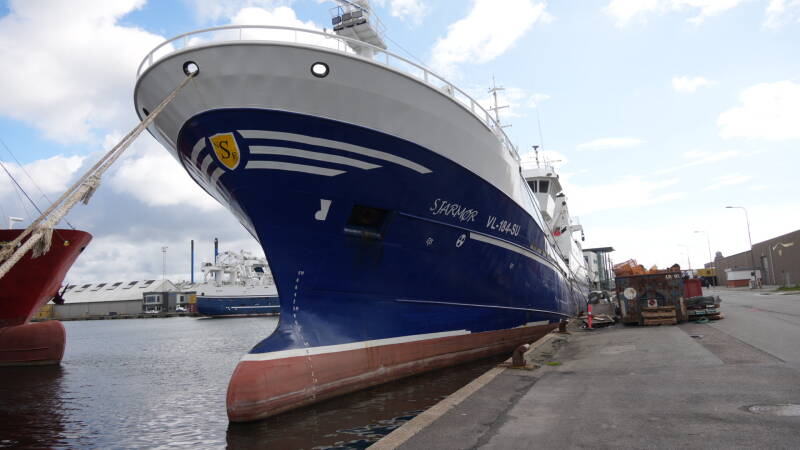 dsc01096-standard.jpg