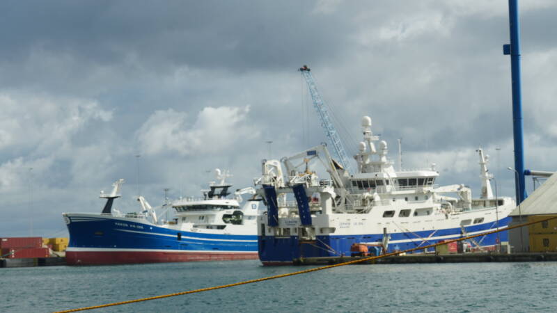 dsc01103-standard.jpg