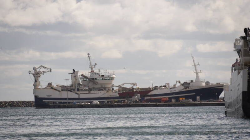 dsc01107-standard.jpg