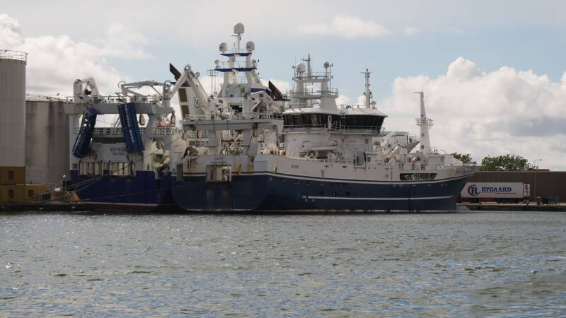 dsc01109-standard.jpg