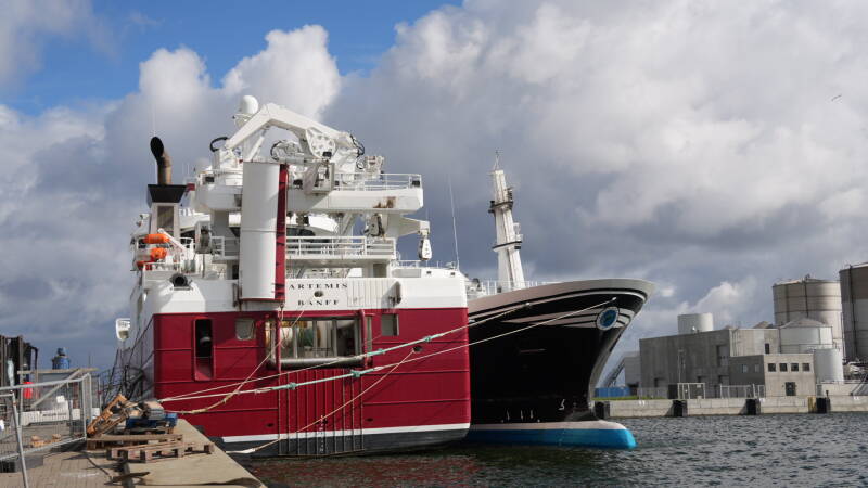dsc01111-standard.jpg
