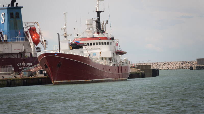 dsc01124-standard.jpg