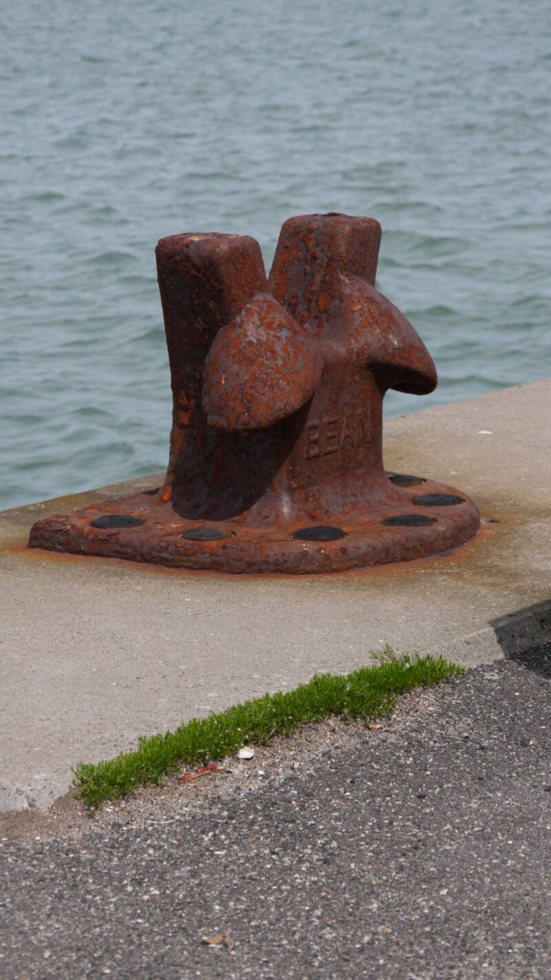 dsc01134-standard.jpg