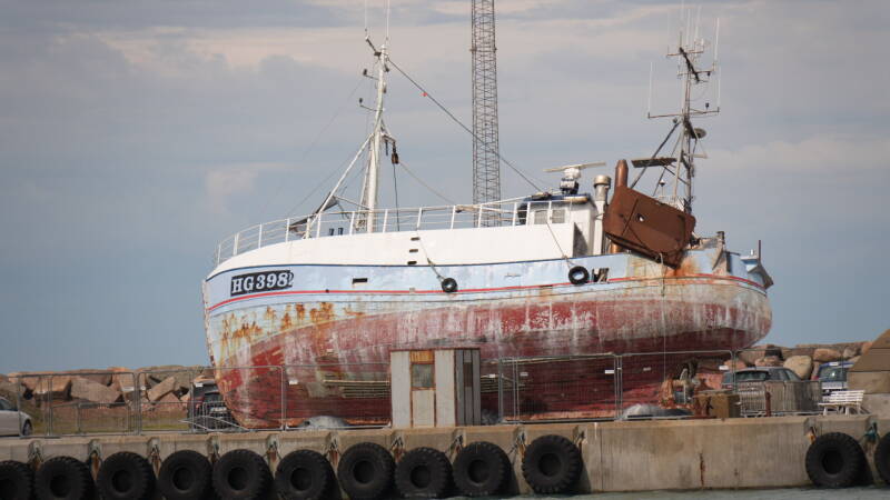 dsc01137-standard.jpg