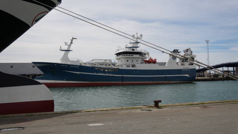 dsc01152-standard.jpg