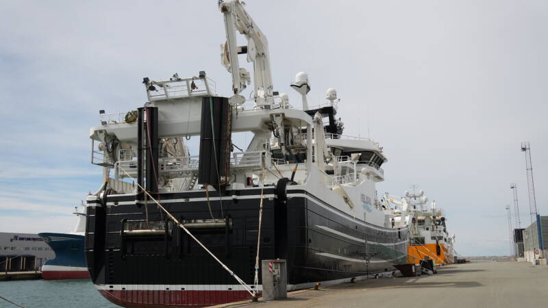 dsc01161-standard.jpg