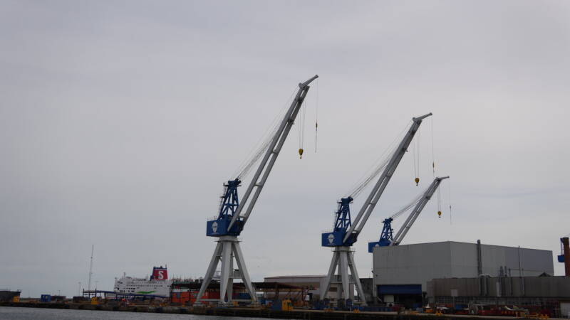 dsc01171-standard.jpg