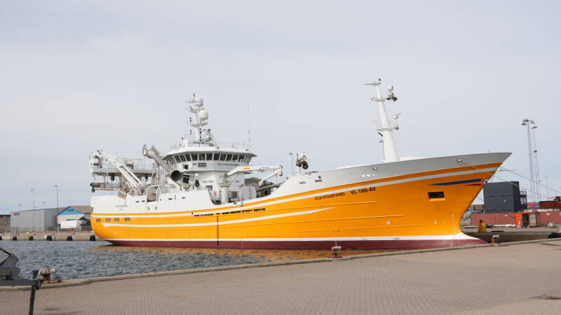 dsc01181-standard.jpg