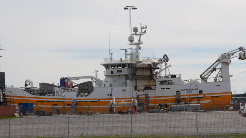 dsc01211-standard.jpg