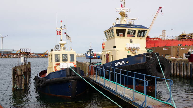 dsc01233-standard.jpg