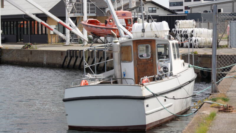 dsc01239-standard.jpg