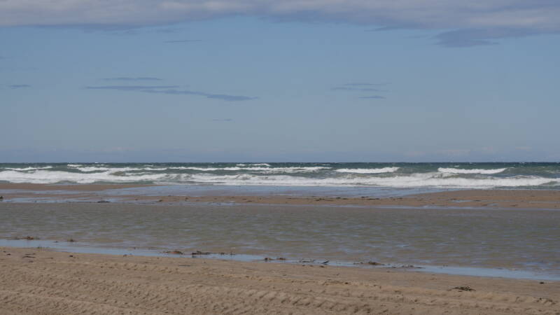dsc01246-standard.jpg