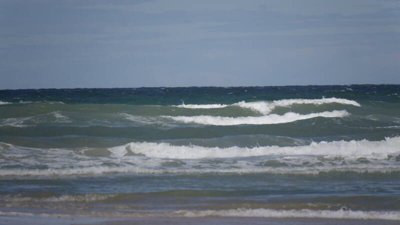 dsc01247-standard.jpg
