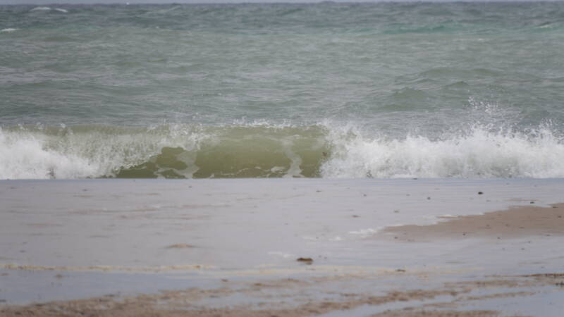 dsc01249-standard.jpg