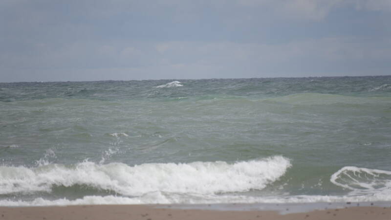 dsc01250-standard.jpg