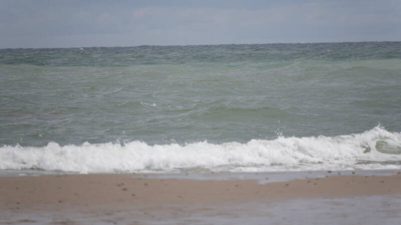 dsc01251-standard.jpg