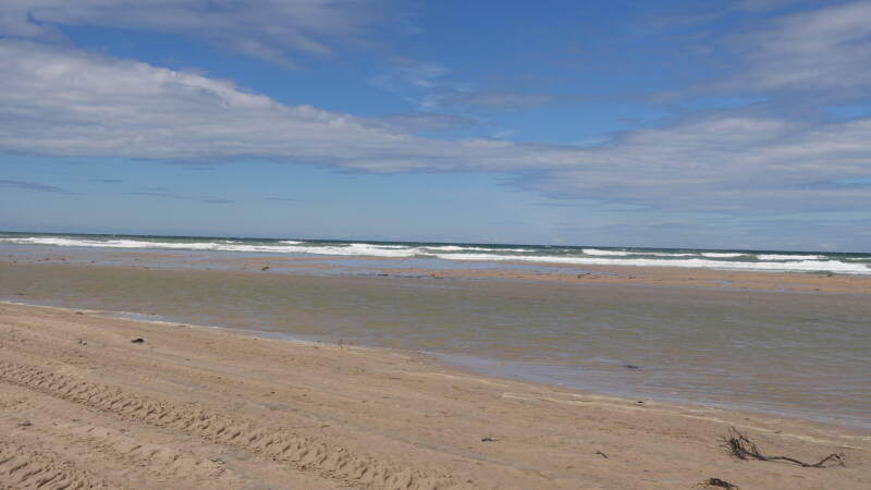 dsc01253-standard.jpg