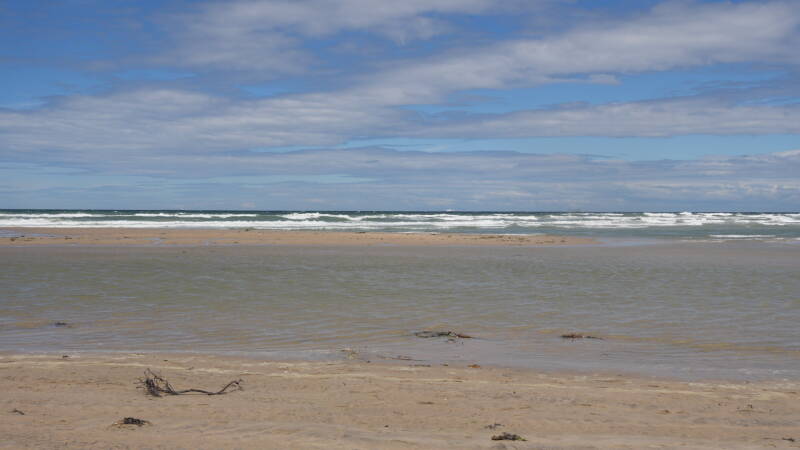 dsc01254-standard.jpg
