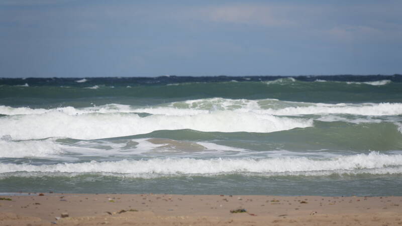 dsc01255-standard.jpg