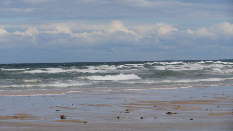 dsc01256-standard.jpg