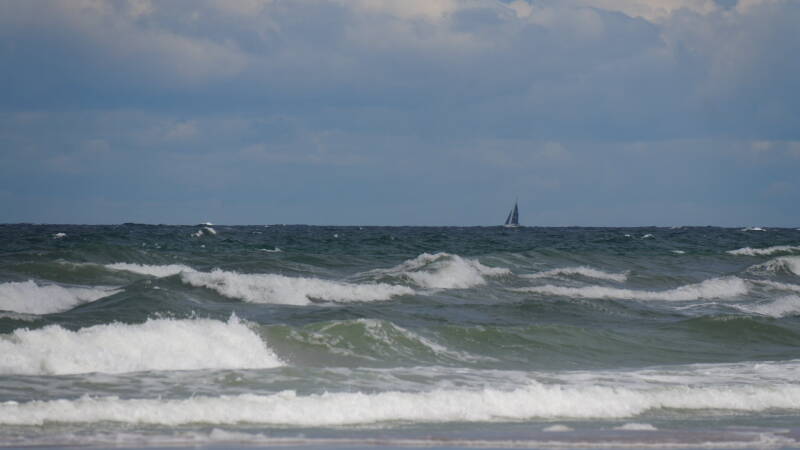 dsc01260-standard.jpg