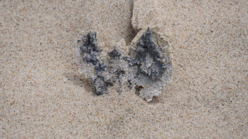 dsc01261-standard.jpg