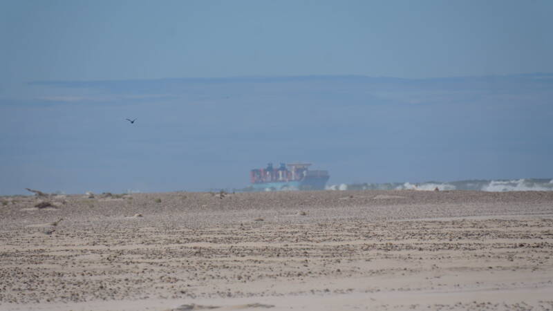 dsc01262-standard.jpg