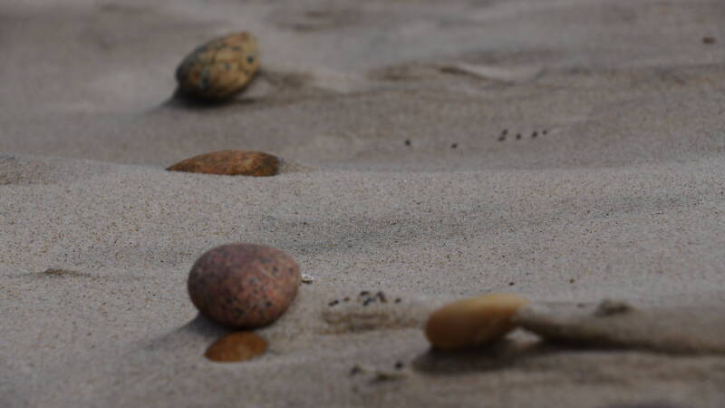 dsc01266-standard.jpg