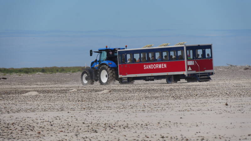 dsc01267-standard.jpg