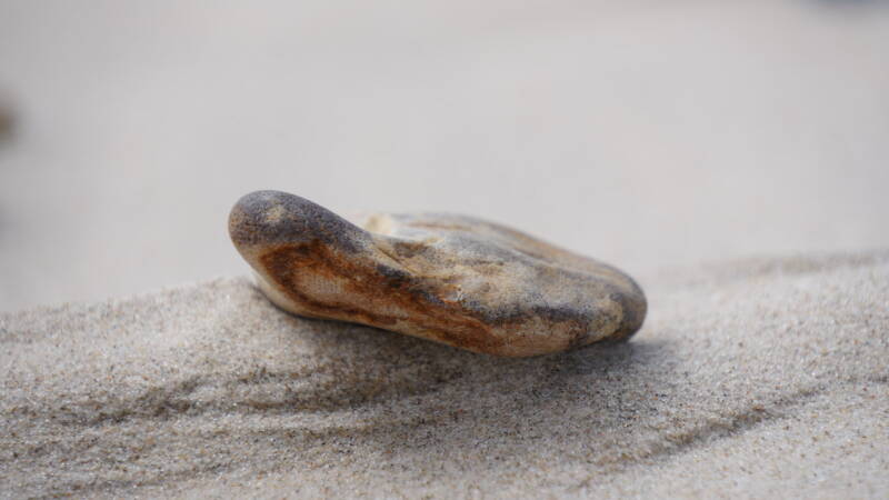 dsc01269-standard.jpg