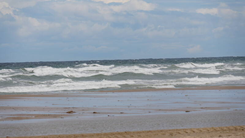 dsc01271-standard.jpg