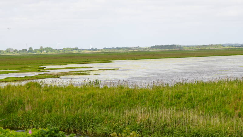 dsc01293-standard.jpg