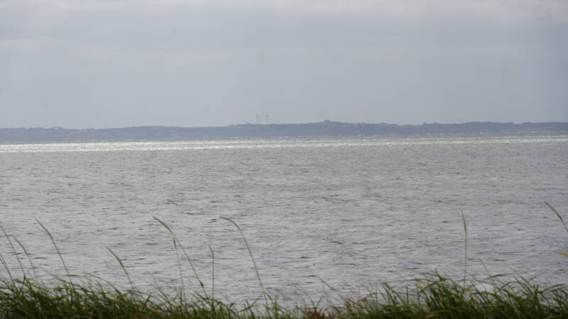 dsc01295-standard.jpg