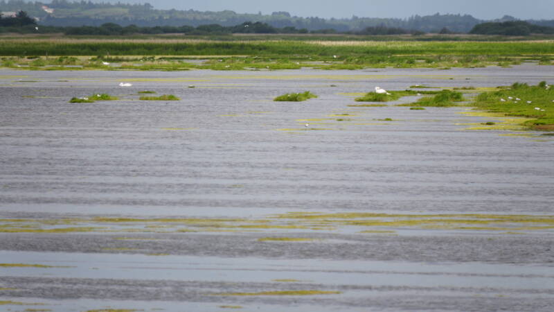 dsc01296-standard.jpg
