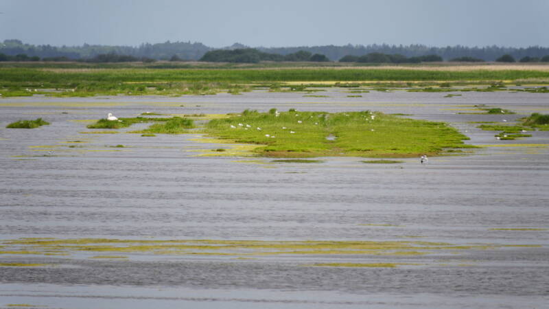 dsc01297-standard.jpg