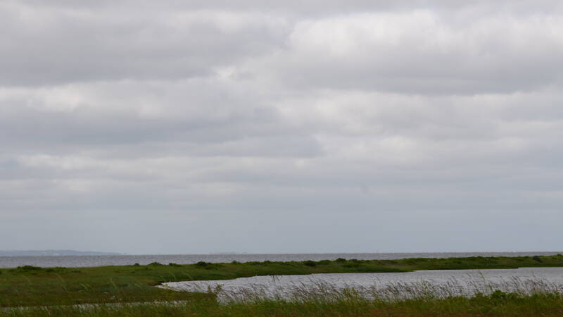 dsc01299-standard.jpg