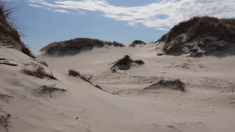 dsc07232-standard.jpg