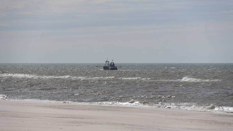 dsc07240-standard.jpg