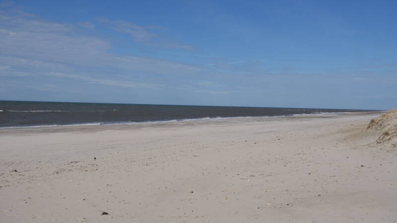 dsc07246-standard.jpg