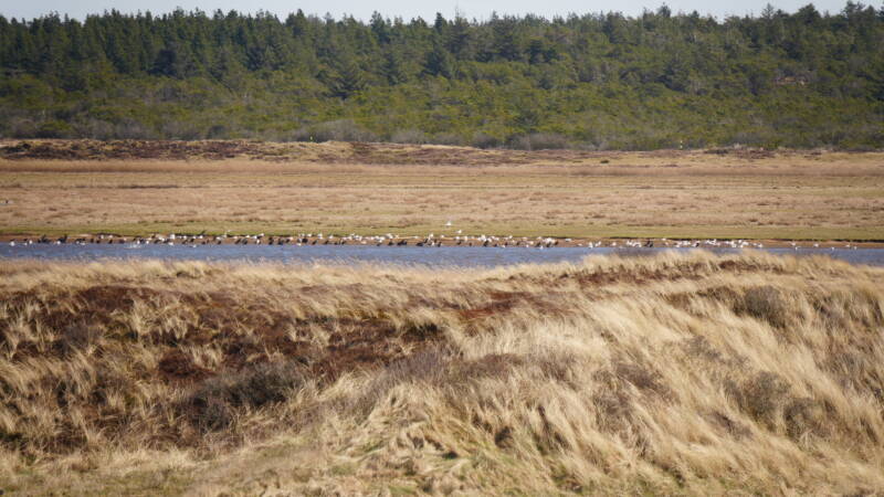 dsc07275-standard-27m75e.jpg