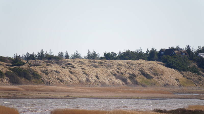 dsc07277-standard.jpg