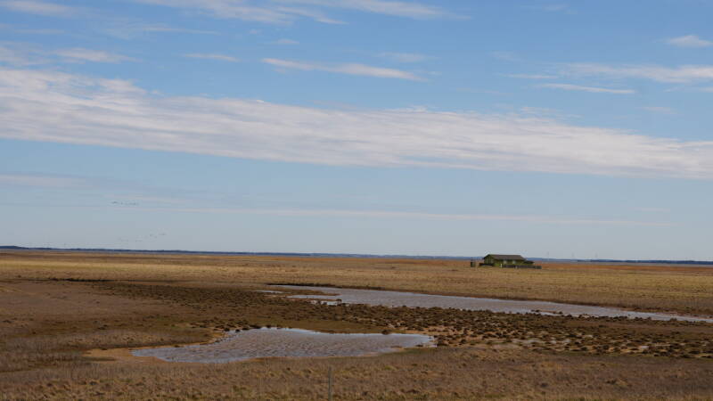 dsc07285-standard-5h3cxb.jpg