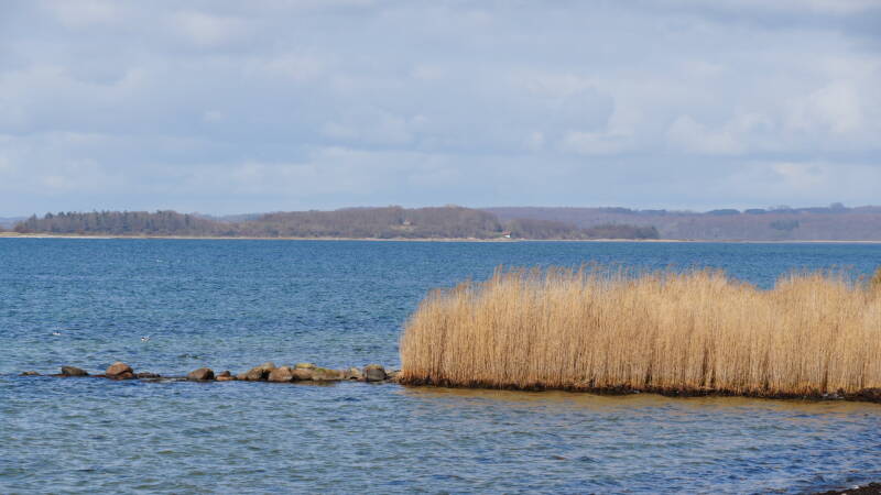 dsc07293-standard-trnnrn.jpg