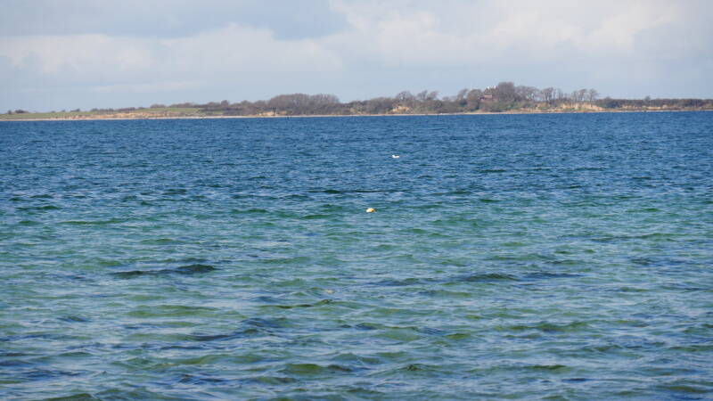 dsc07296-standard.jpg