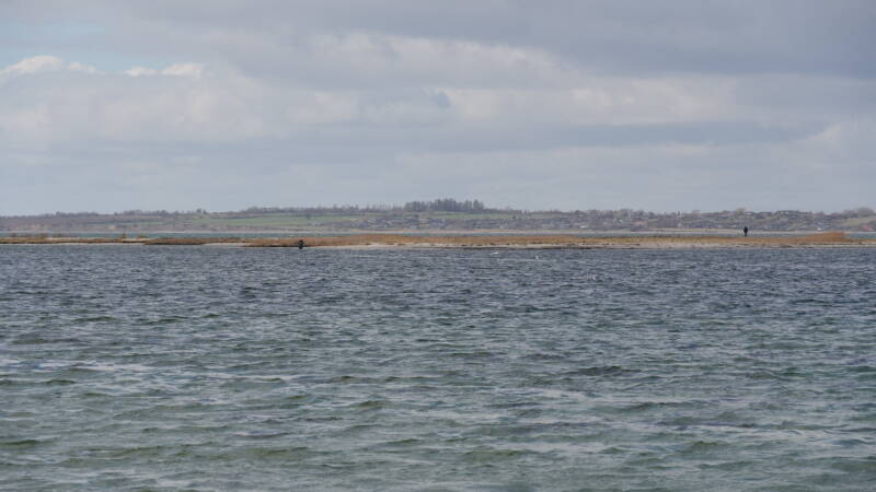 dsc07305-standard-3kmmt9.jpg