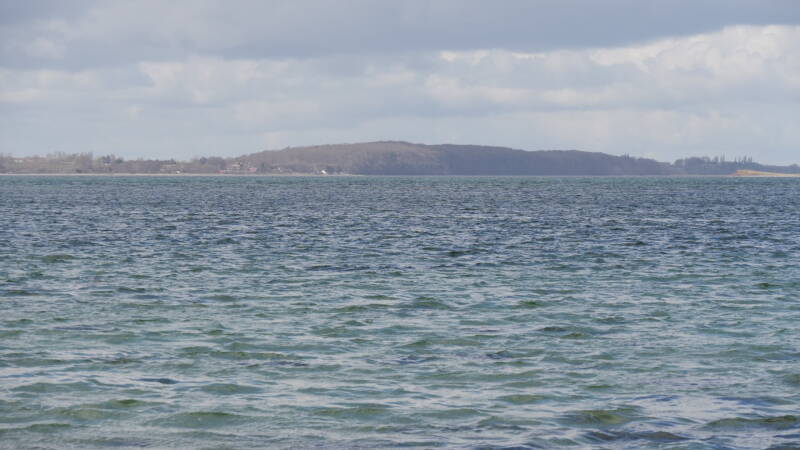 dsc07308-standard.jpg