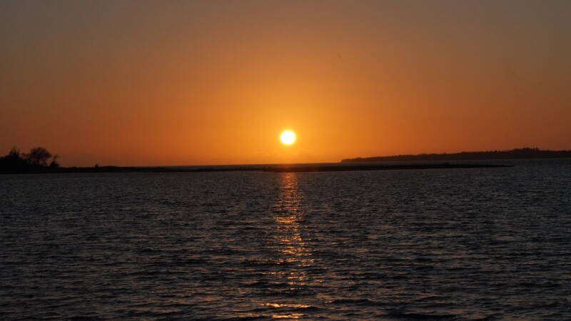 dsc07356-standard.jpg
