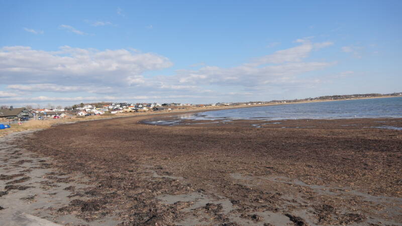 dsc07492-standard.jpg