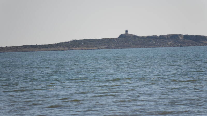 dsc07524-standard.jpg