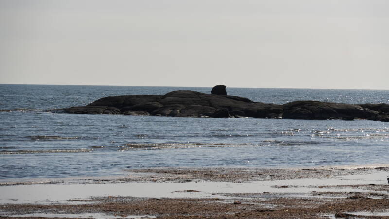 dsc07540-standard.jpg